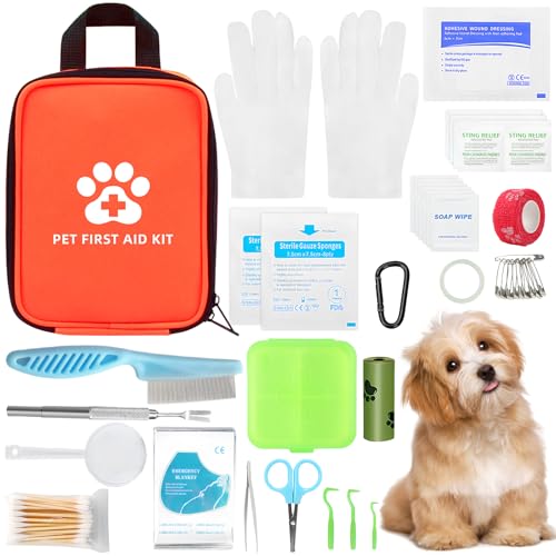 Trousse de secours de voyage